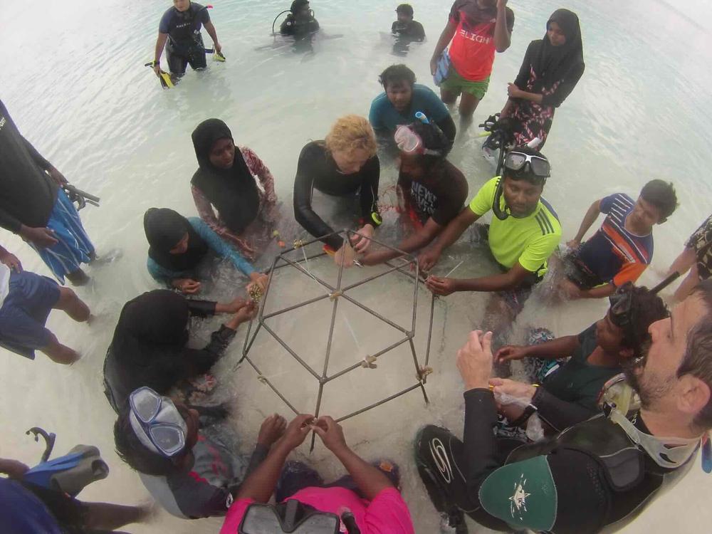 Coral gardeners assembling a restoration frame together